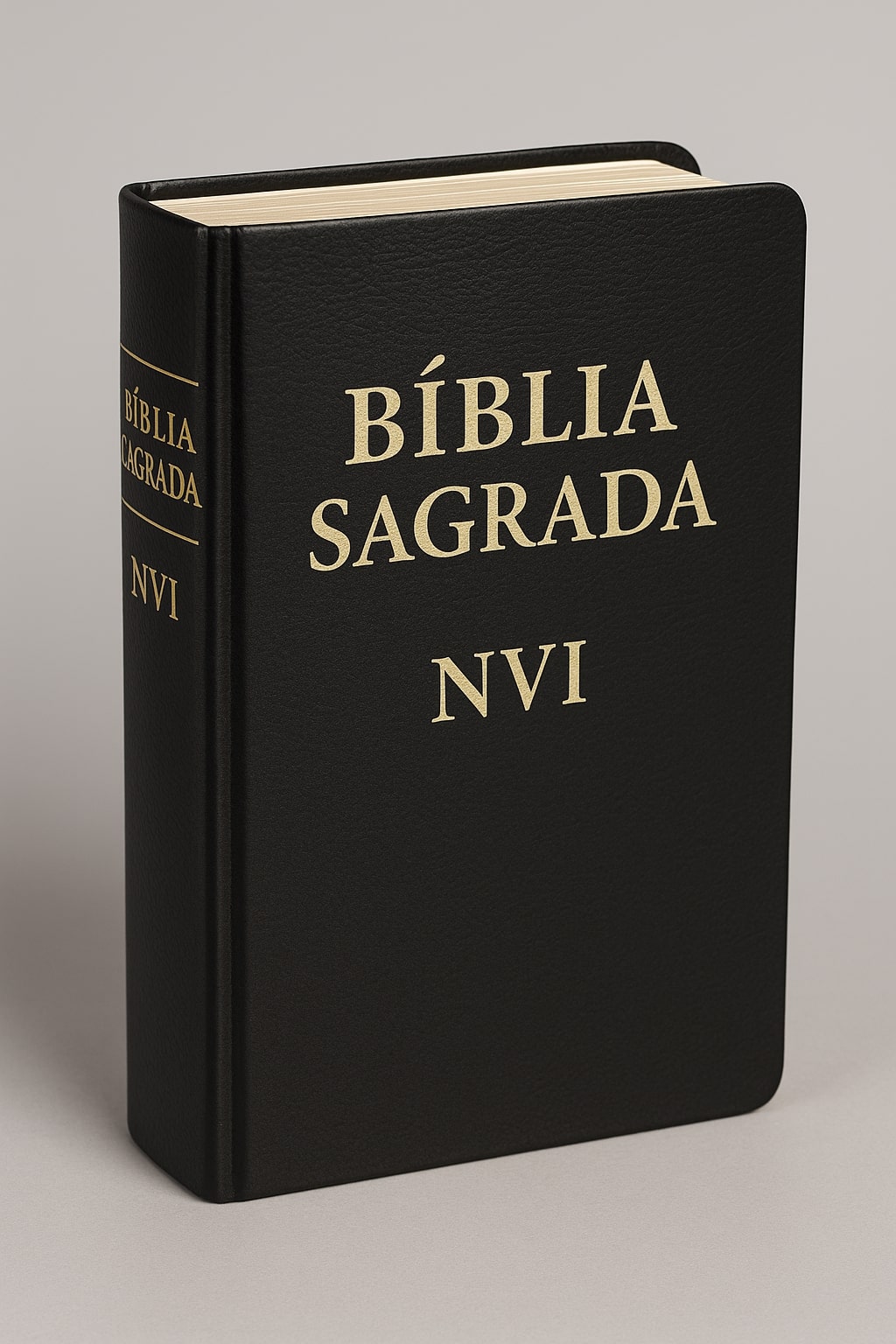Bíblia Sagrada NVI